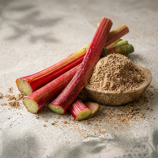 Rhubarb root
