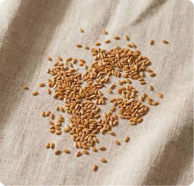 Flaxseed