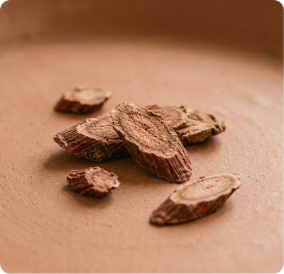 Rhubarb Root